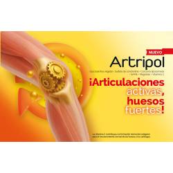 NOVADIET Artripol 60 Cápsulas Vegetales