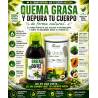 PLANTAPOL Pack Plan Detox Quemagrasas