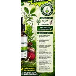 PLANTAPOL Chlorophyll Complex 50ml