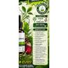 PLANTAPOL Chlorophyll Complex 50ml