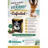 NOVADIET Cafediet 12 Sobres