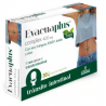 NATURE ESSENTIAL Evacuaplus (Kiwi) 400mg 30 Cápsulas