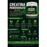 PLANTAPOL Creatina 300g