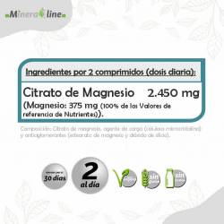 PINISAN Citrato de Magnesio 60 Comprimidos