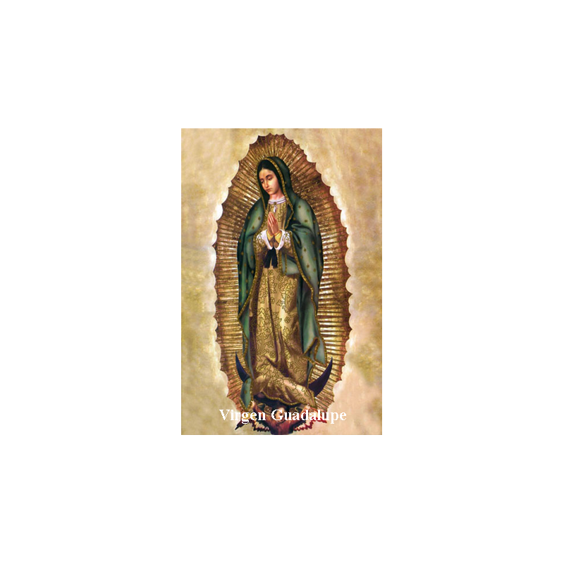 Estampa Virgen Guadalupe 5x7,5cm