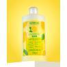 BETRES Champú Anticaspa 750ml