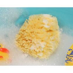 KIOKIDS Esponja Natural