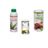PLANTAPOL Pack Chupapanzas Té Verde