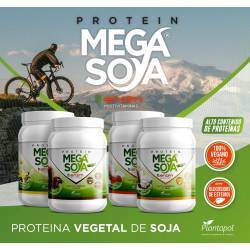 PLANTAPOL Vainilla-Avellana...