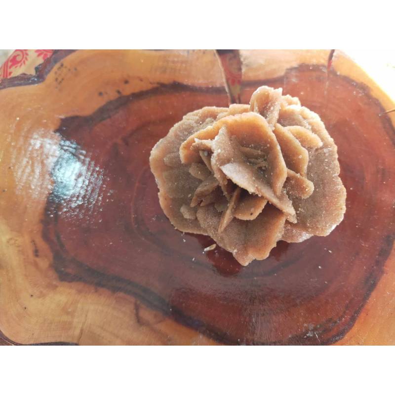 Rosa Del Desierto Mediana 8x7cm