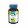 DIETMED Naturmil Onagra + Vitamina E 30 Perlas