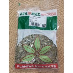 ESPECIAS A. Boldo 50g.