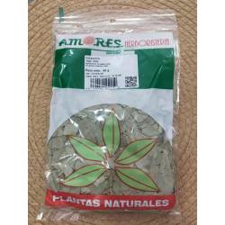 ESPECIAS A. Eucalipto 50g.