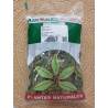 ESPECIAS A. Stevia Hojas 40g.